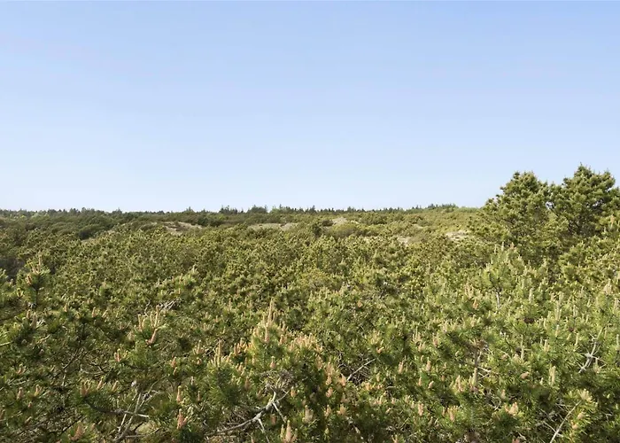 Сasa de vacaciones Bv111-blavand-soren-gades-mark-37